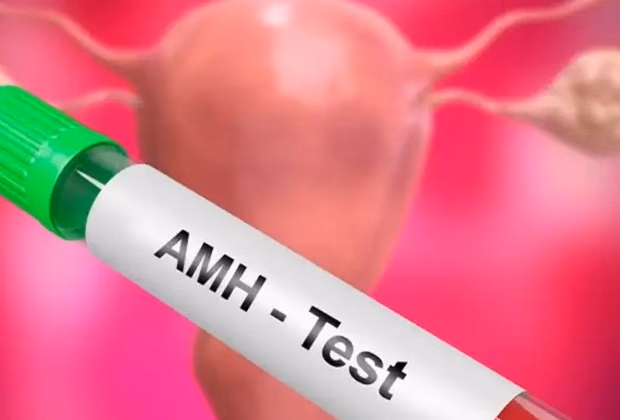 AMH Testi — Doç. Dr. Deniz Şimşek, Bursa