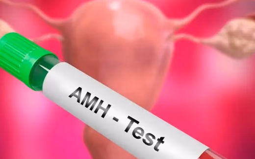 AMH Testi — Doç. Dr. Deniz Şimşek, Bursa
