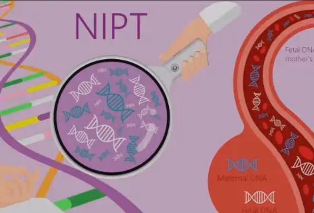 Anne Kanında Fetal DNA Testi (NIPT) — Doç. Dr. Deniz Şimşek, Bursa
