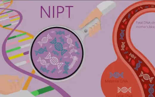 Anne Kanında Fetal DNA Testi (NIPT) — Doç. Dr. Deniz Şimşek, Bursa